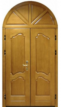 Парадная дверь №231